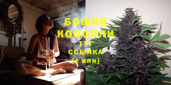 гашик Богданович